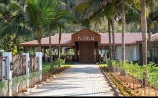 Korkvai
