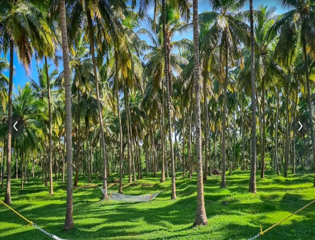 PN Farm House NM Hall