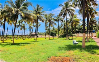 Royal Destiny Resort-Open Lawn