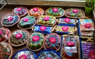 Online Shop Designer Wedding Plates In Coimbatore Wikiwed Com