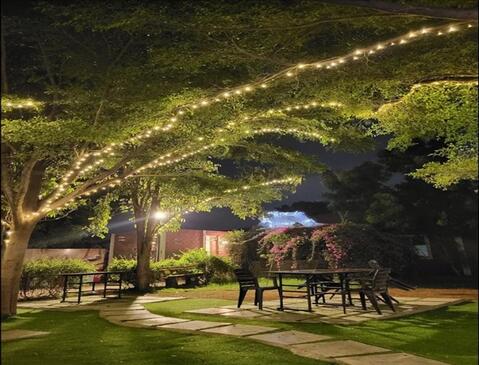 Hotel Tanne Lawn