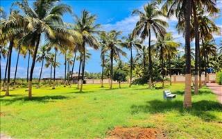 Royal Destiny Resort-Open Lawn